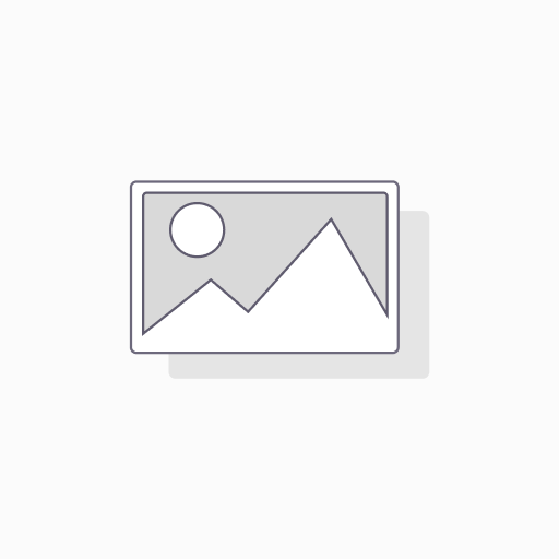 Ray-Ban RB2489 BALORAMA